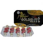Gold Ant
