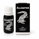 Alligator