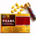 Cordyceps