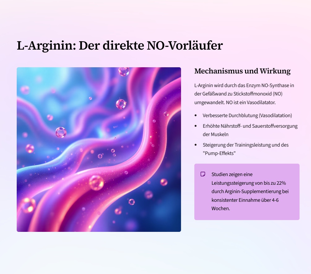 L-Arginin fuer Potenz