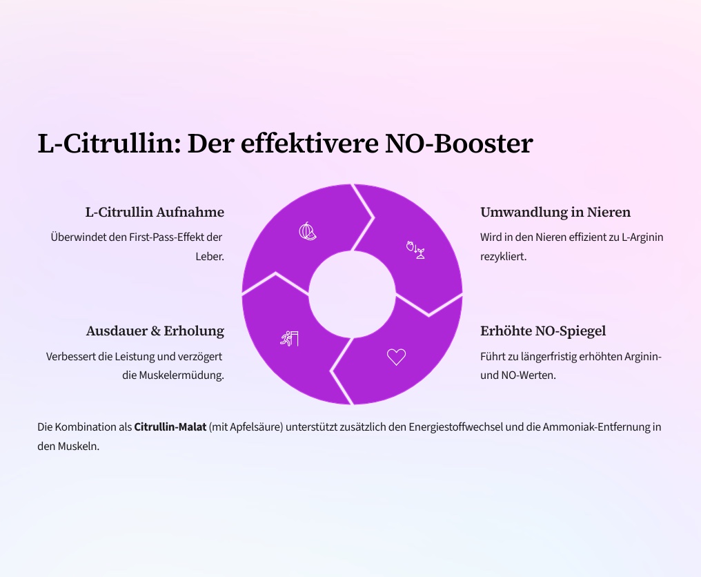 NO Booster